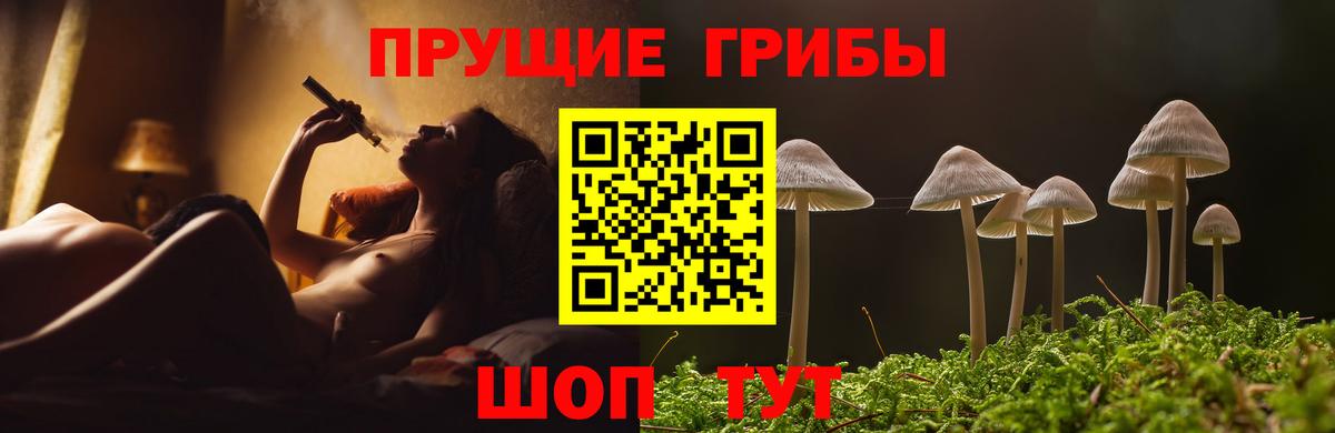 Галлюциногенные грибы GOLDEN TEACHER Сорочинск