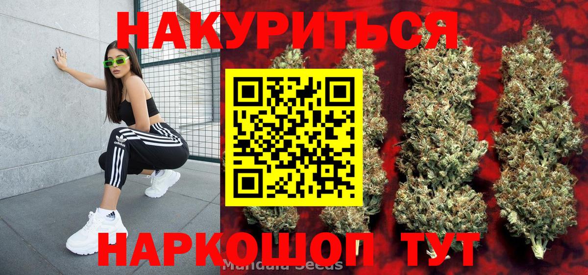 Каннабис гибрид Сорочинск